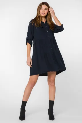 Bree Overdye Indigo Dress