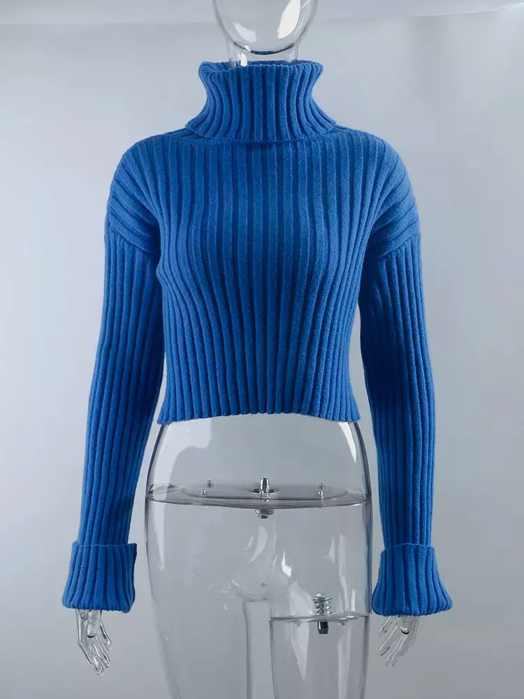 Norah Turtleneck Crop Sweater