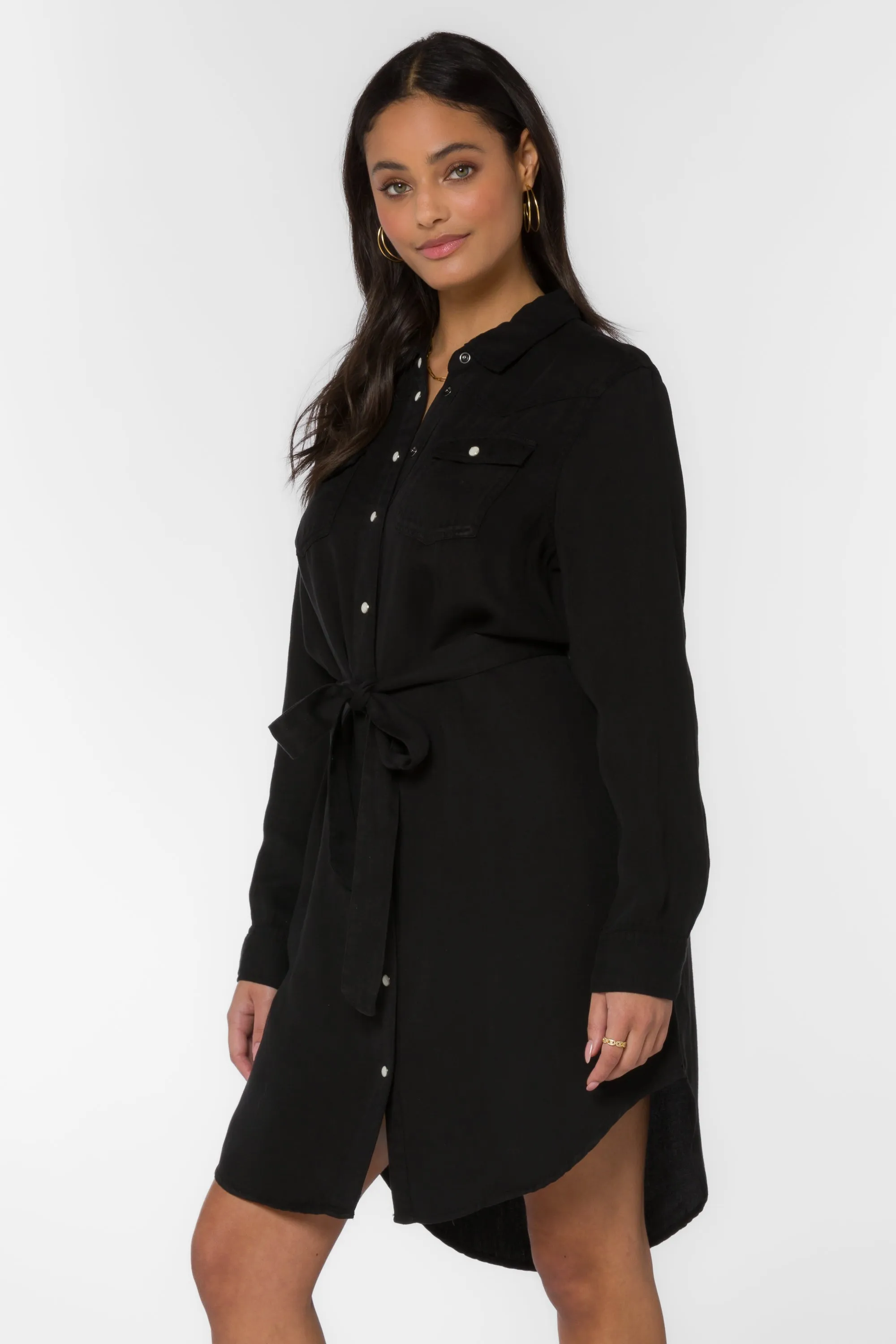 Sharilyn Black Shirtdress